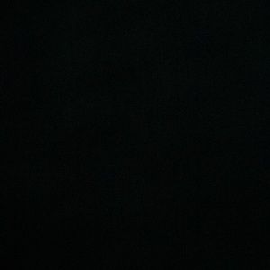 Meet your Posher, Bailey